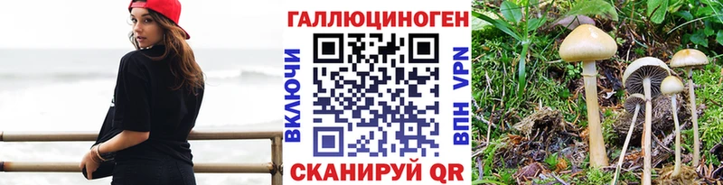 Галлюциногенные грибы ЛСД  где купить наркотик  Тара 